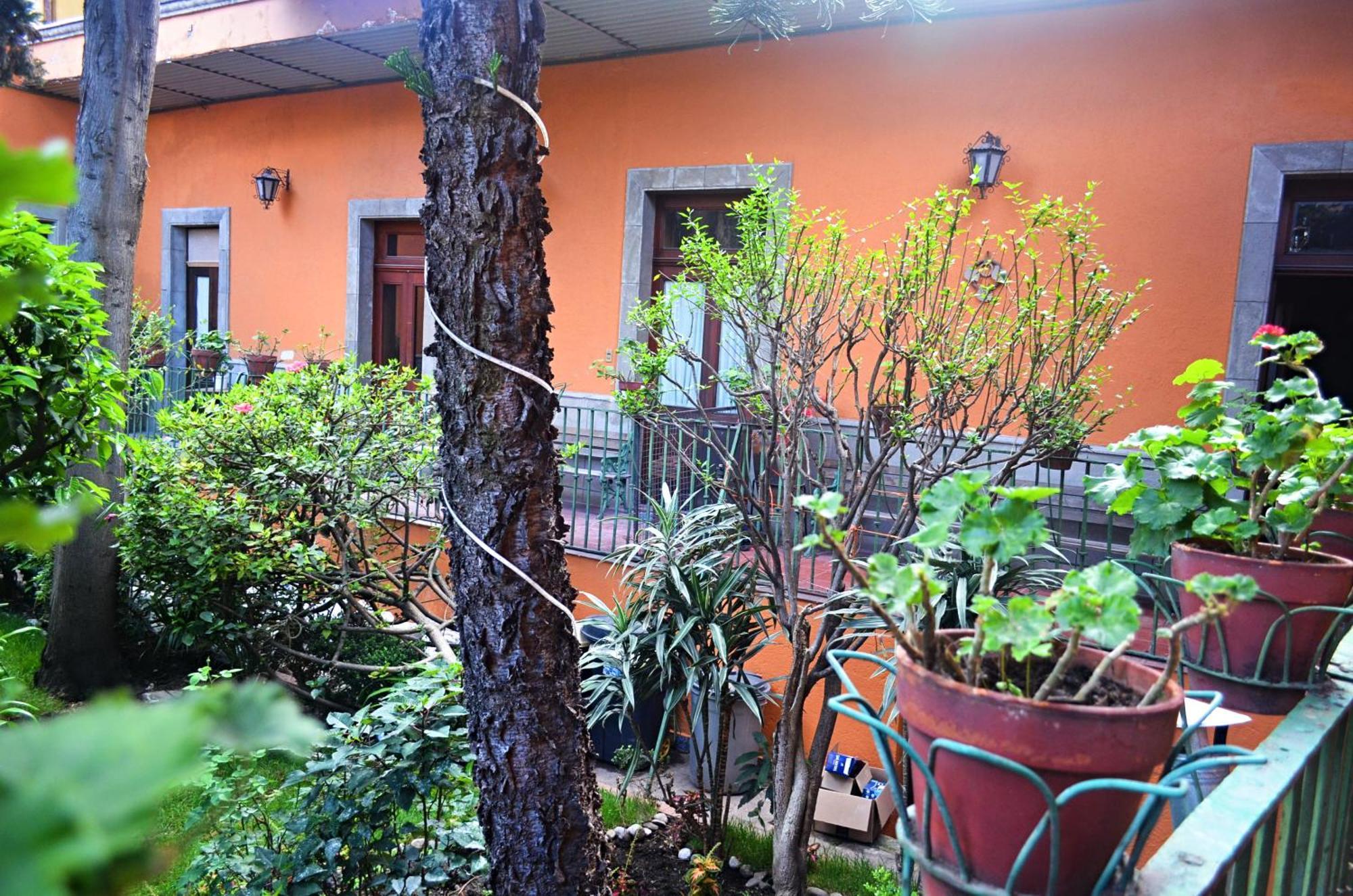 Hacienda Gobernadores Mexico City Exterior photo